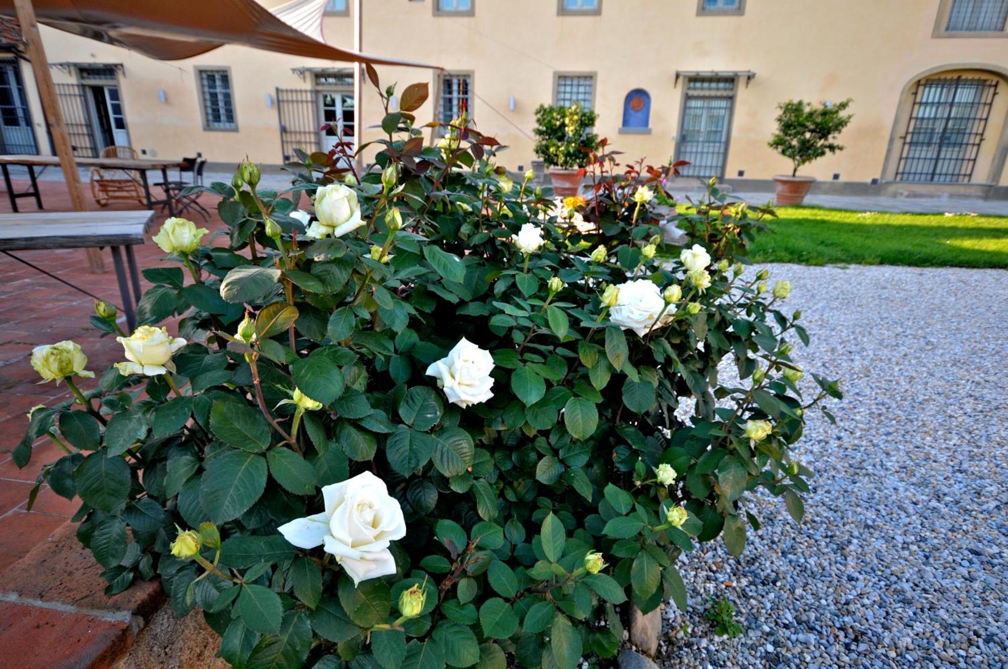 Agriturismo San Rocco Pistoya Exterior foto
